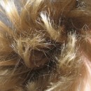 hair closeup source image